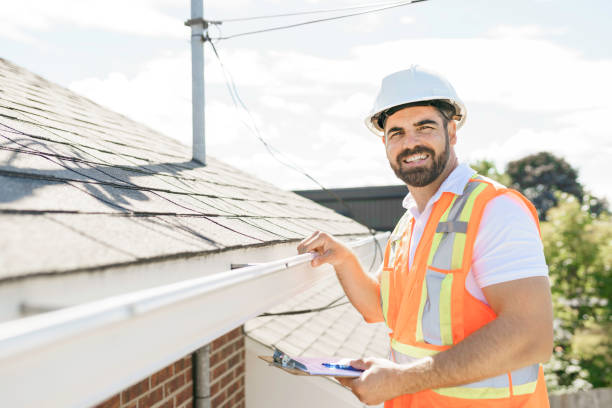 Best Roof Insulation Installation  in Carleton, MI